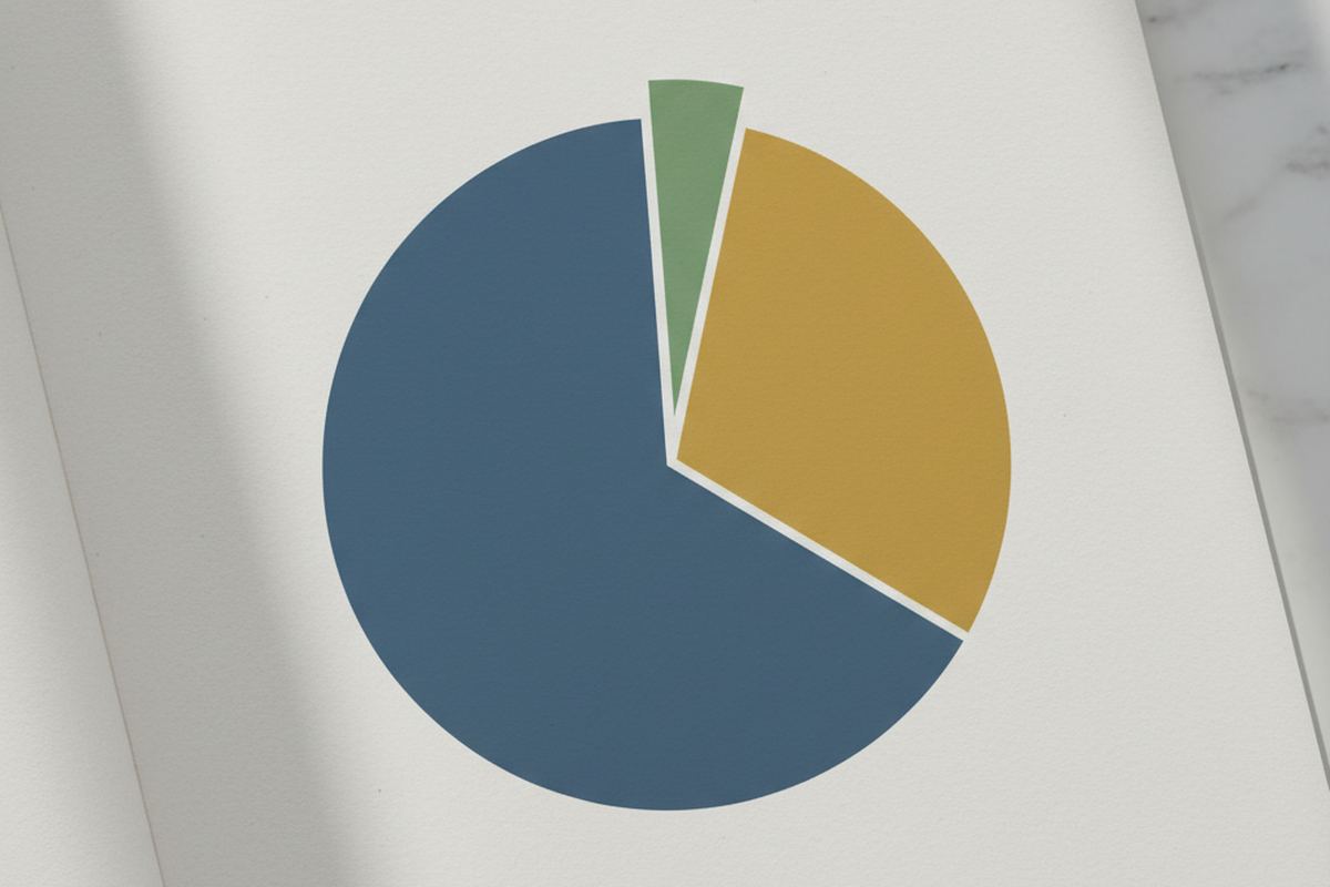 Pie chart showing 50/30/20 budget split